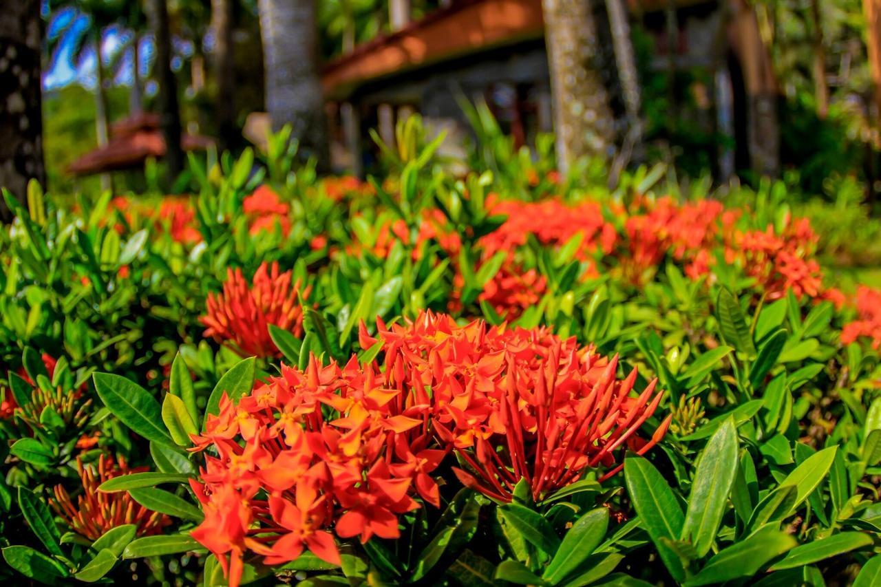 Marea Brava Hotel Jaco Exterior photo